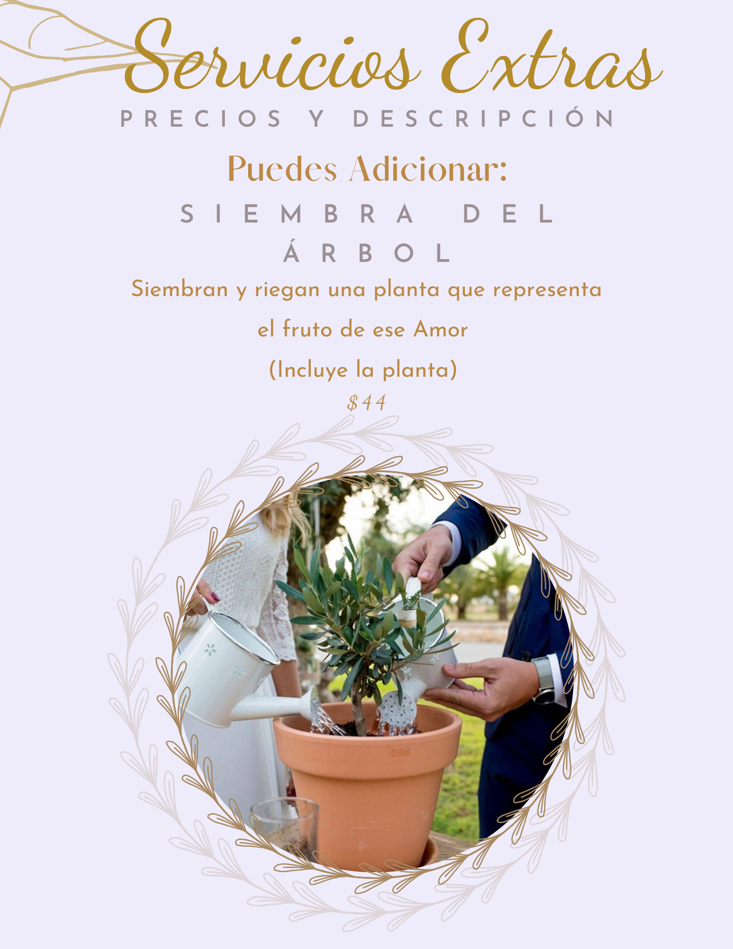 Ceremonia de Boda (Legal y Renovación de votos)